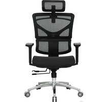 Evolution ERGO Mesh (черный) Image #3