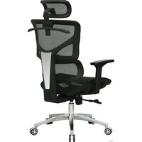 Evolution ERGO Mesh (черный) Image #4