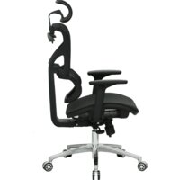 Evolution ERGO Mesh (черный) Image #2